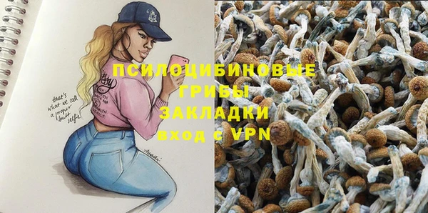 spice Михайлов
