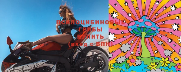 spice Михайлов