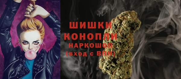 мдпв Мегион