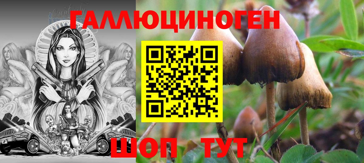 Галлюциногенные грибы мухоморы Шуя