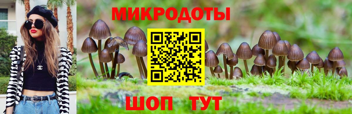 Шуя  Галлюциногенные грибы Magic Shrooms  Вход с VPN  Галлюциногенные грибы прущие грибы 