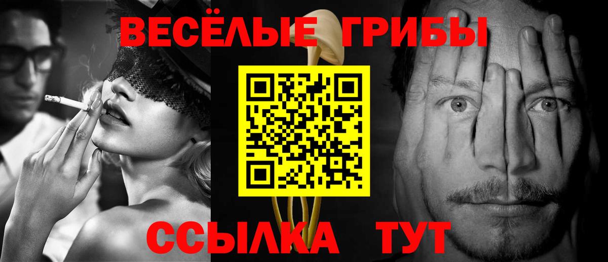 Псилоцибиновые грибы прущие грибы  Шуя 