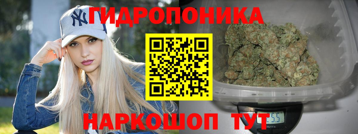 Конопля SATIVA & INDICA  Марихуана планчик  Марихуана SATIVA & INDICA  Шуя 